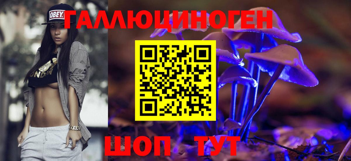 Псилоцибиновые грибы прущие грибы Краснознаменск
