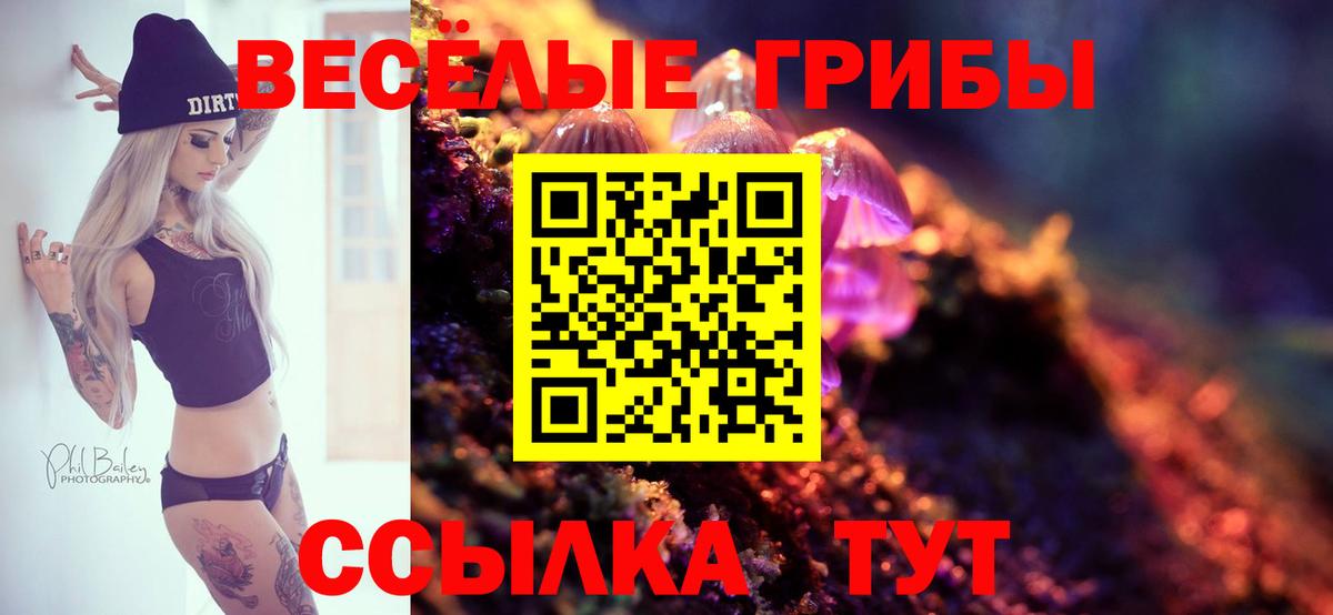 Краснознаменск  Галлюциногенные грибы Magic Shrooms  Вход с VPN  Галлюциногенные грибы ЛСД 